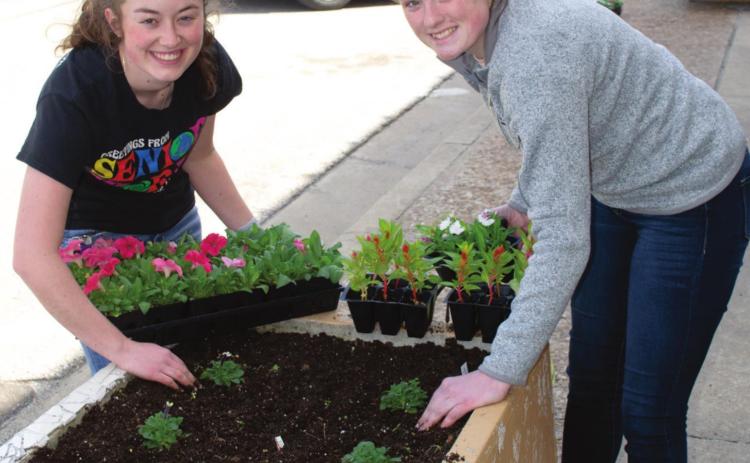 As part of community clean up day