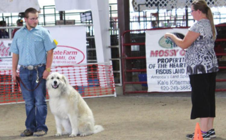 Herrenbruck completes final 4-H year