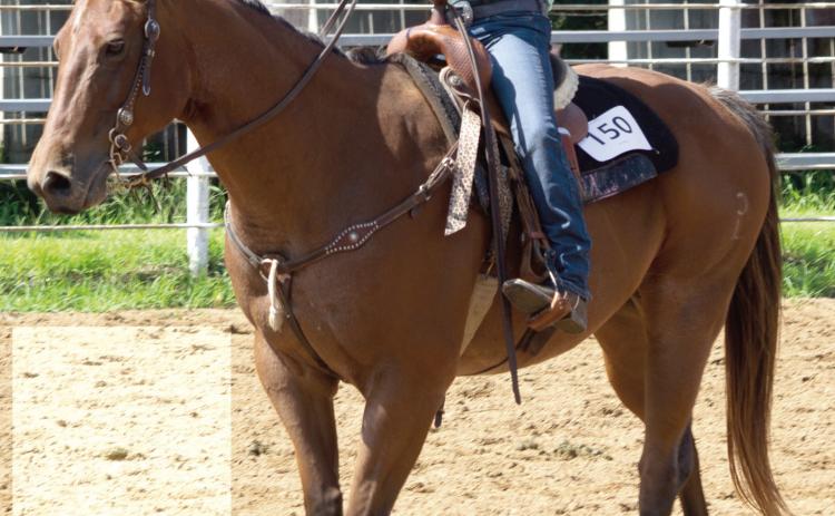 Remi Hermann participated in the Horse Show Saturday, July 22. She received a purple ribbon and a red ribbon in 2018 and before geldings and in Western Pleasure ages seven -13. She received a blue ribbon in Junior Showmanship ages seven-nine and a red ribbon in Western Horsemanship first and second year rider.