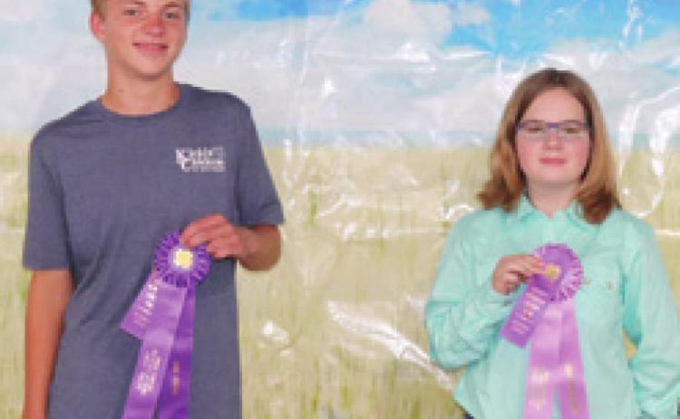 In the Poultry Intermediate