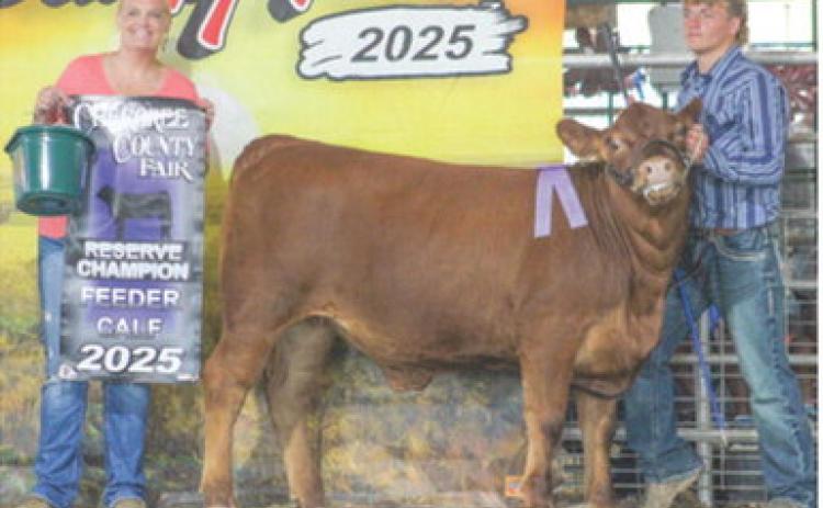 Reserve Champion Feeder Calf sponsored by Merle Ross Family went to Braun Stone.