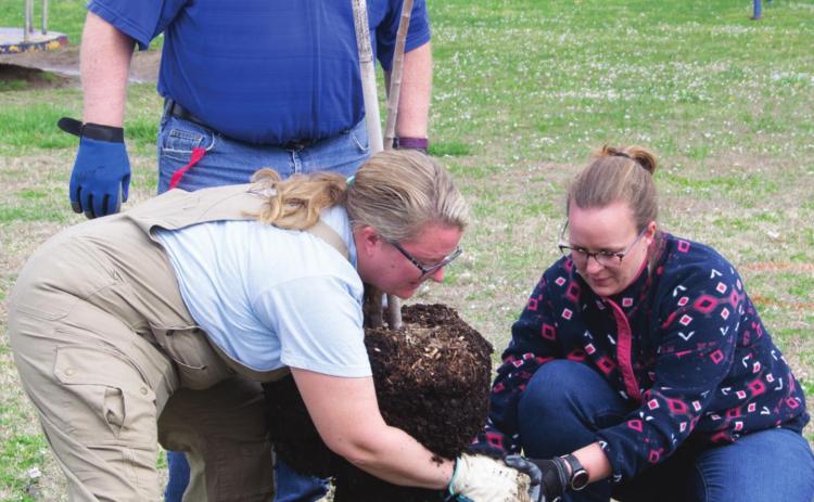 Several new fruit trees will soon be blooming in Columbus City Park