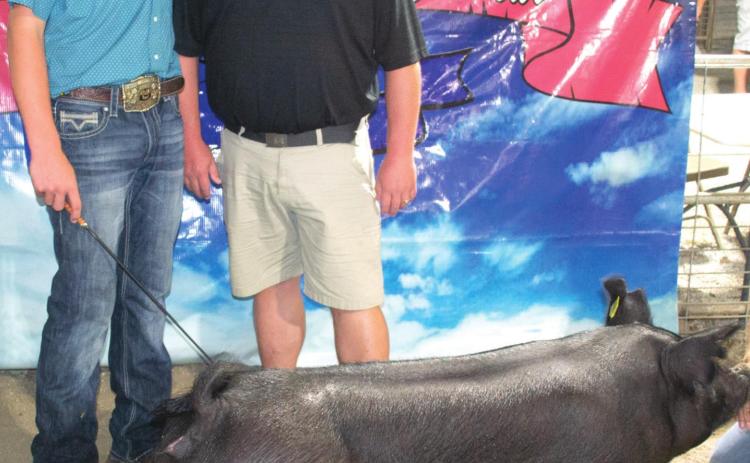 The Grand Champion