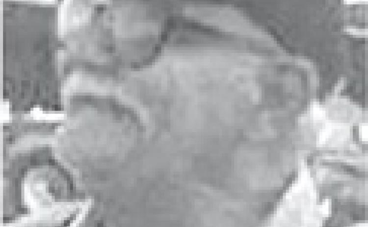Delmer McFarland, 76, Grove, Okla.