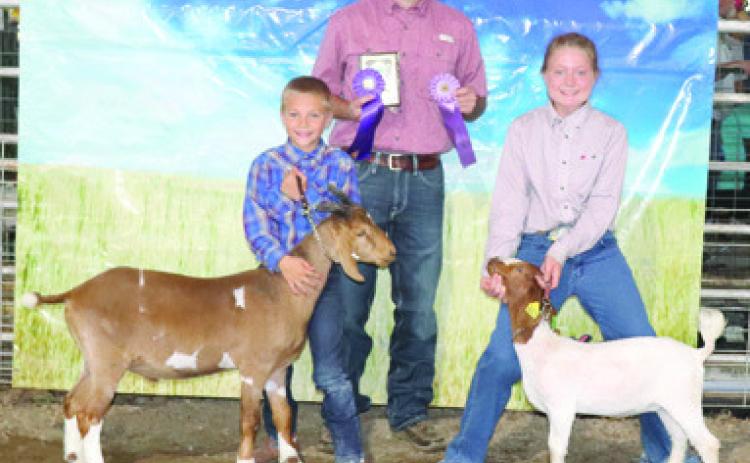 Goats, sheep earn participants championship accolades