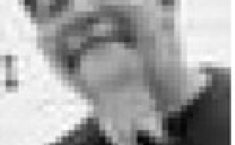 Richard Alexander