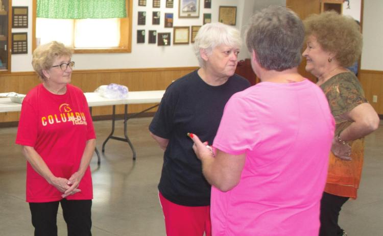 Volunteers make, deliver pulled pork sandwiches for Johnson fundraiser