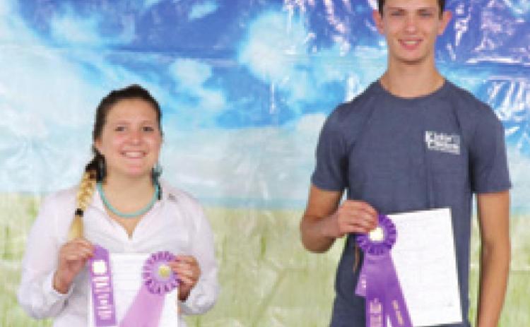 During the Poultry Show