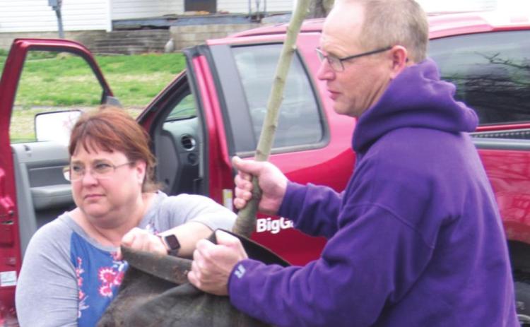Community groups gather to plant fruit trees in Columbus City Park