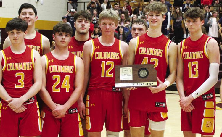 Titans fall to Bulldogs in title match