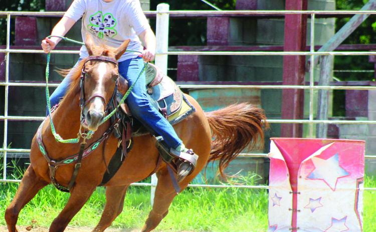 Results announced in 4-H, HYA, FFA Horse classes