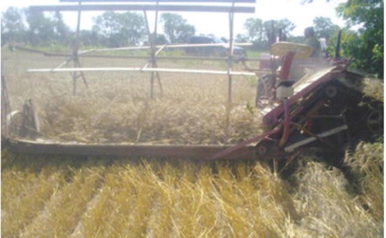Examples of antique farm equipment will be on display at the museum during the Columbus Day Festival. Other antique items will be on display along Pine Street east of Kansas Avenue. Photo by Harold Depenbusch.