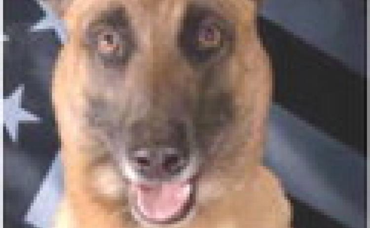 K9 Keo