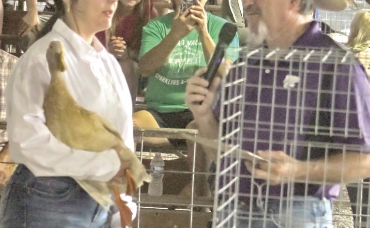 During the poultry show at the 2025 Cherokee County Fair, Airauna Sharp spoke with the judge about her duck. Results were announced and ribbons issued in both the Open Class as well as the 4-H, FFA and Heritage Youth Association class. Photo by Jadeyn Ivey.