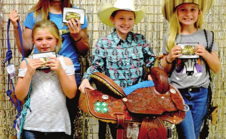 County 4-H scores high in horse series