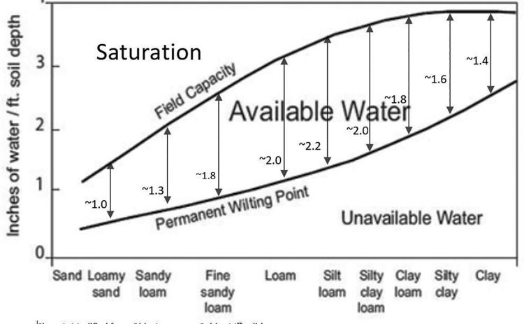 How much water the soil holds