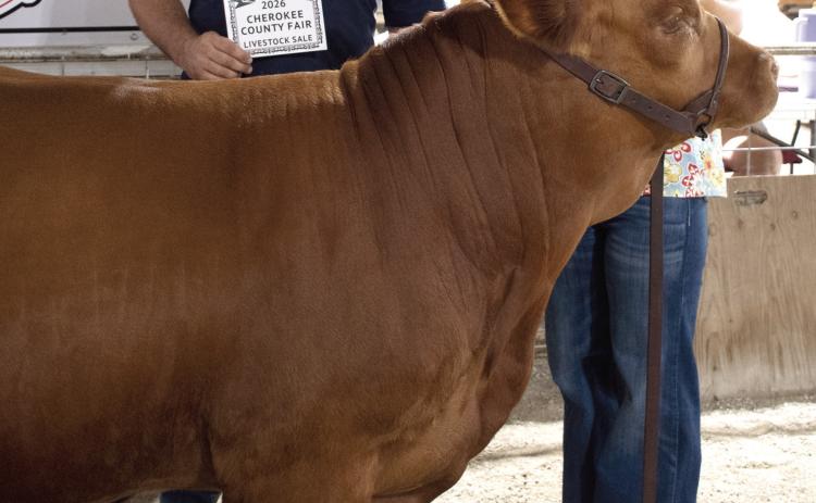 Rylee Heistand’s Grand Champion Feeder Calf brought in a $1,700 premium during the livestock auction at the Cherokee County Fair. The premium was paid by CrawKan Telephone Cooperative, represented by Nick Bole. Heistand is a member of the Spring Valley Sparkler 4-H club.