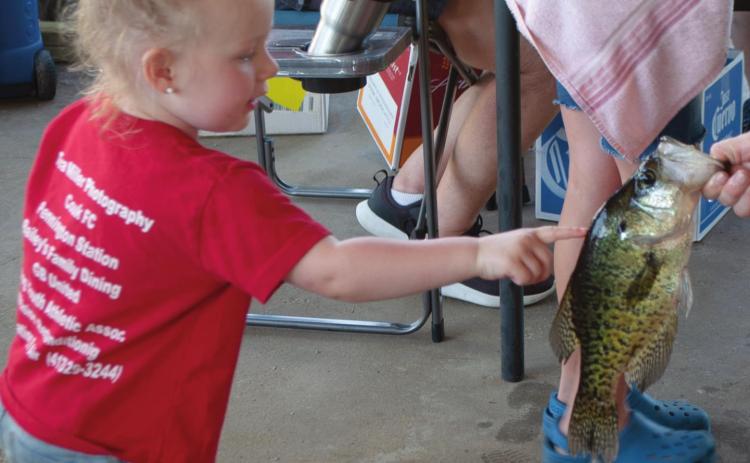 Four year old