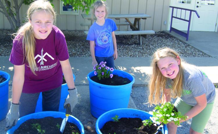 Members of the Cherokee County 4-H Horticulture Club recently spent an afternoon planting pots, planters on the Square and in the Community garden.