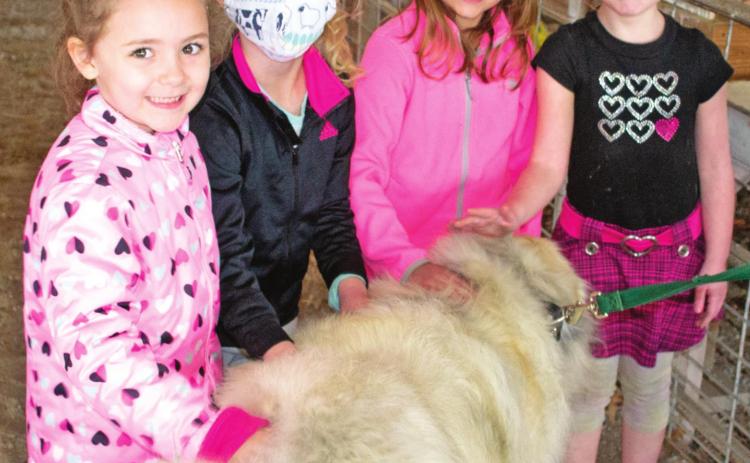 Youngsters at the 4-H Project Day camp
