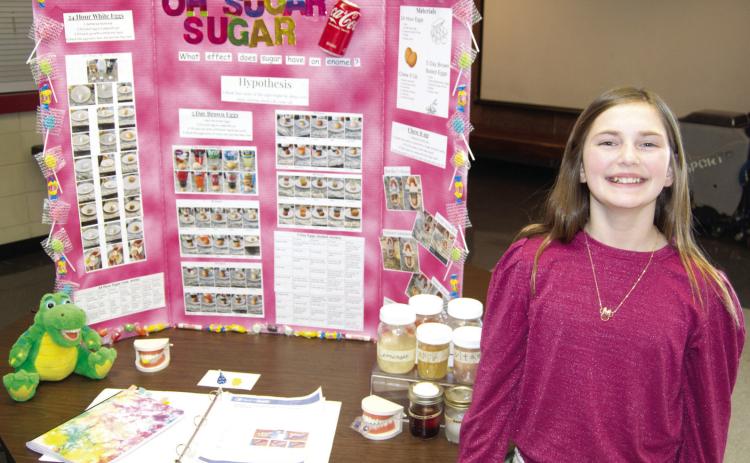 Columbus Elementary Science Fair