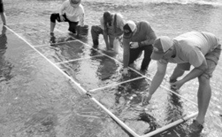 Fisheries and Ecological Services staff at the Kansas Department of Wildlife and Parks are taking action to bolster some of the state’s most at-risk aquatic species.