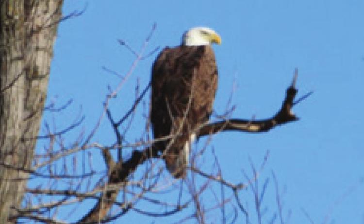 Cherokee County Thru The Lens of... EMMETT SULLIVAN