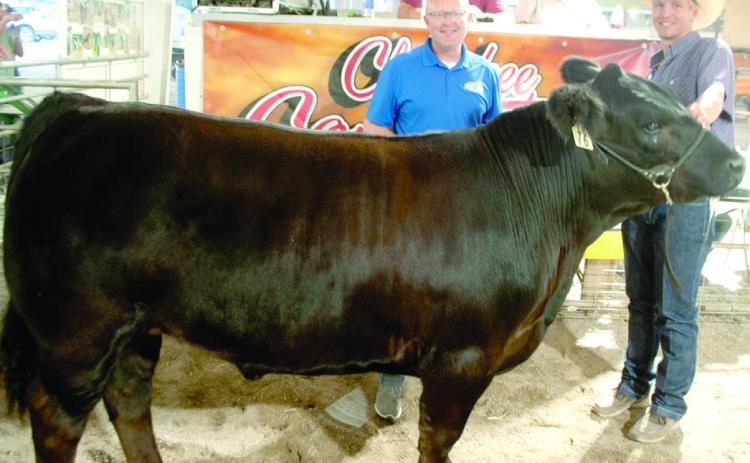 The 2024 Grand Champion Market Beef shown by Columbus FFA member Cole Youngblood at the Cherokee County Fair. The Angus beef was sold in the premium auction for $3,400 to Crossland Construction in Columbus. Youngblood is the son of KC and Courtney Youngblood.