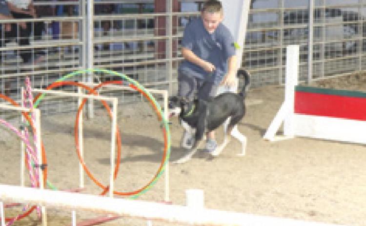 Results announced for Cherokee County 4-H dog show