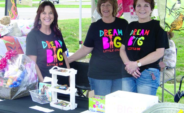 The Dream Big Little One booth was a popular stop at the show. It featured games, registering for door prizes and a duck pond game. Tess Watson, Patti Street and Lou Ann Nicoletti were working the booth.