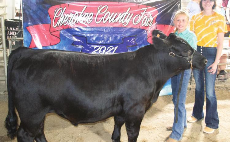 Shamrock 4-H