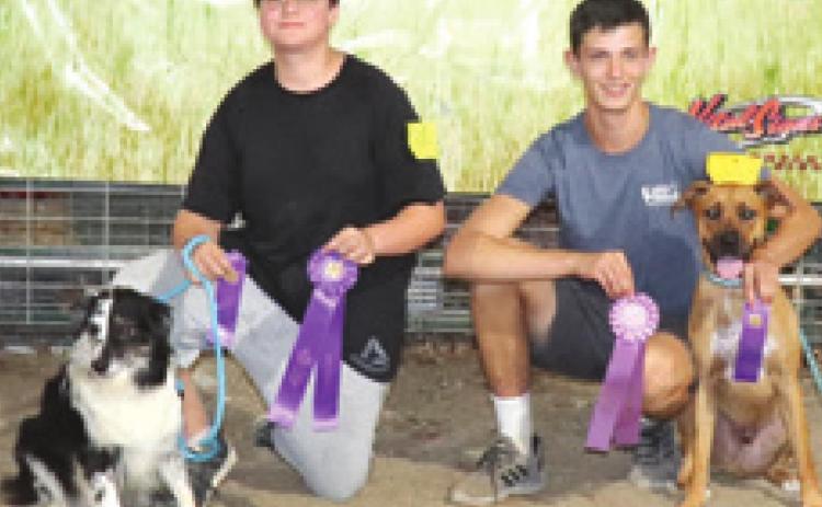 County dog show champions receive ribbons