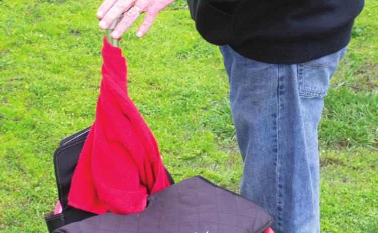 Disc golf draws area players