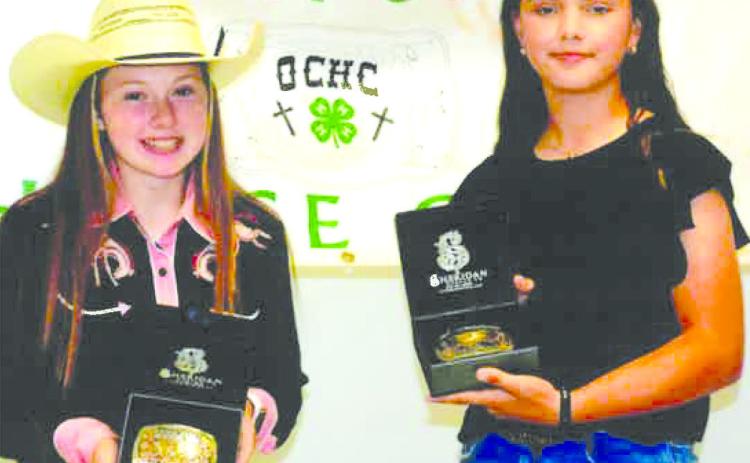 Area equestrians compete in memorial show
