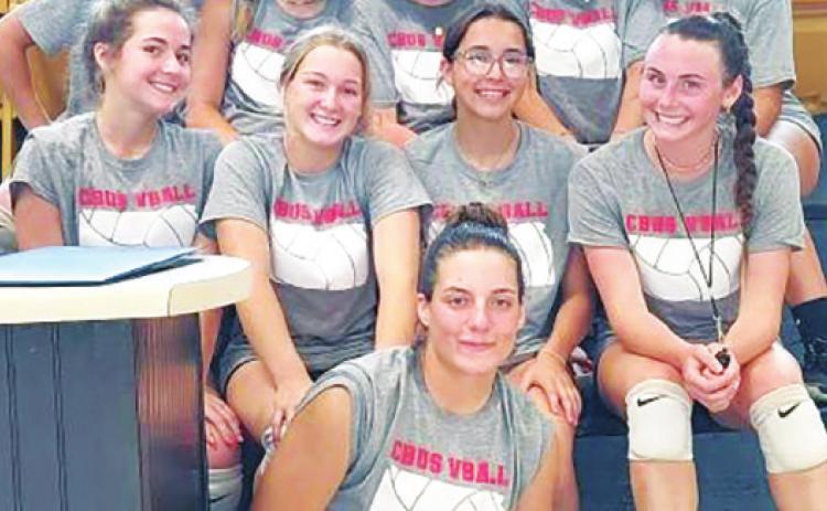 Volleyball in summer league