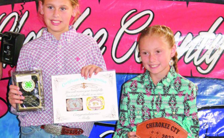 Horse project presents awards at Fair