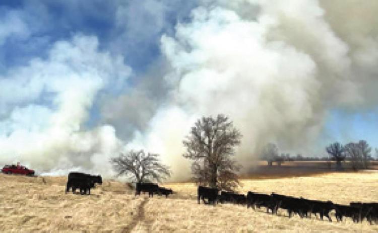 Smoke has been seen for miles as prairie fires took their toll in the area around US 69 and Southeast Messer Road on Wednesday. Firefighters were at the scene four hours as they followed the fire into timber before getting it under control. Courtesy photo.