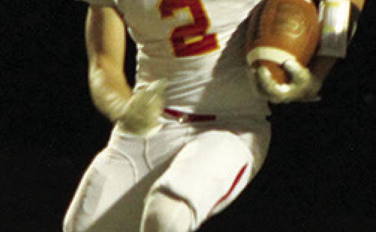 Titans cage Lions for playoff berth
