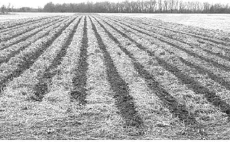 What is the practice of soil conservation?