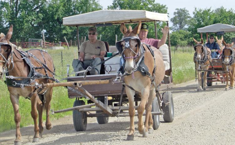 “Mule train”