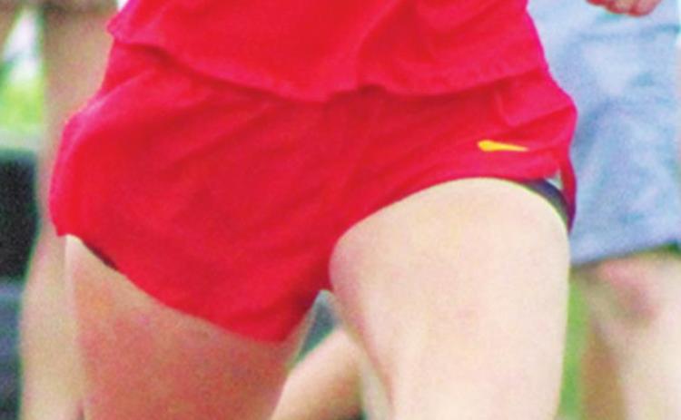 Titans qualify for state track meet