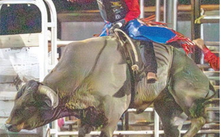 Local cowboy Cal Saporito, had a wild ride in the recent Columbus Saddle Club Rodeo, May 12-14, at the Saddle Club Arena. Cal was the lone bull rider from Columbus and while his ride didn’t end as he would have wanted, the Fort Scott Community College commit, will have plenty of chances as he rides with the FSCC Rodeo Team throughout their 2026-27 season. Photo courtesy of Nate Jones Photography.