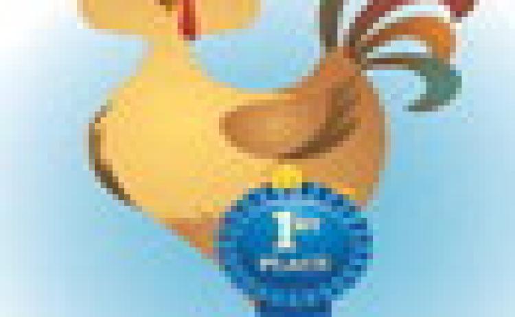 Judges role important aspect of project entries