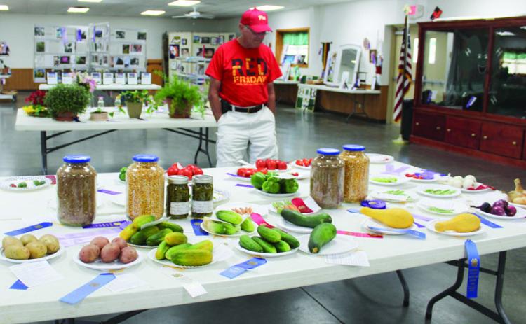 Judges at the fair help entrants hone project skills. Ribbons are awarded based on an ideal standard.