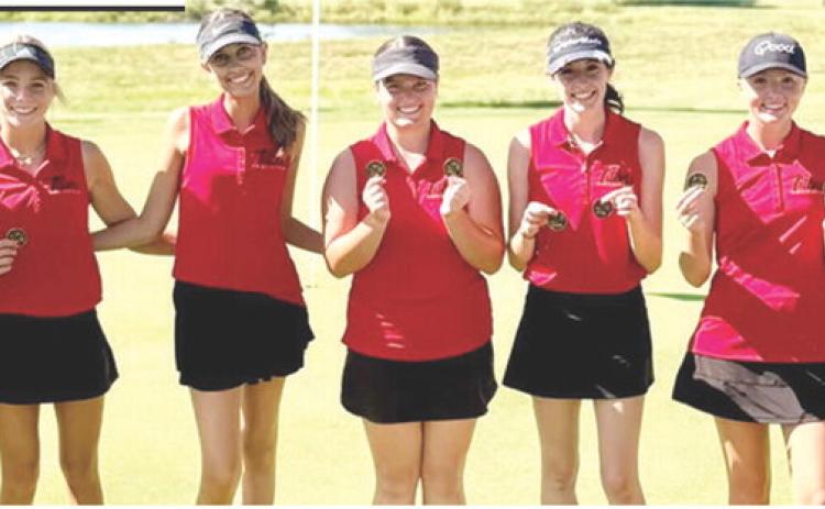 The Columbus Lady Titan Golf Team won their second CNC League Tournament, Tuesday, at Crestwood Country Club in Pittsburg. Columbus earned the win by nine strokes, 362, over their hosts, the St. Mary’s-Colgan Lady Panthers, 371. Sophomore, Cali Carpino led the team in third place. Team members are: Hannah Noel, Tyler Kirk, Addison Johnson, Fallon Smiley, Natalie Wary, Cali Carpino, and Amory Neely. Courtesy photo.