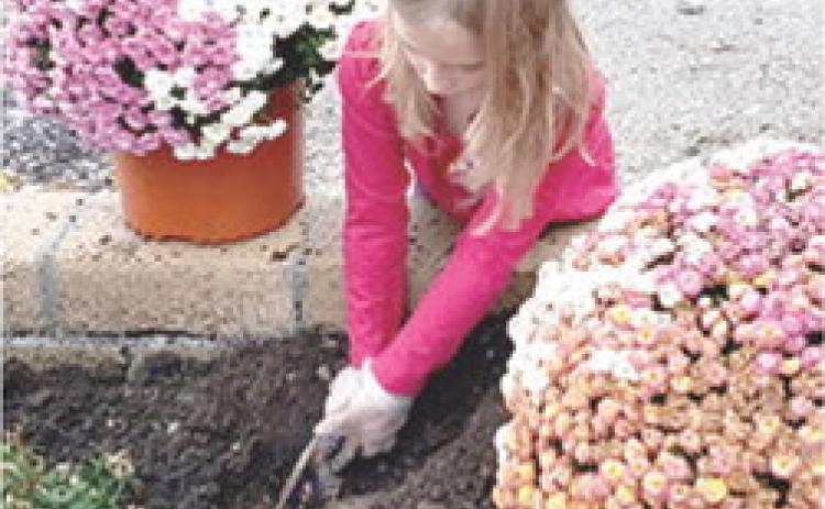 Adalynn Garner, member of the new Heritage Youth of America group dug a hole in the planter for the new mums at the Extension Office. Courtesy photo.